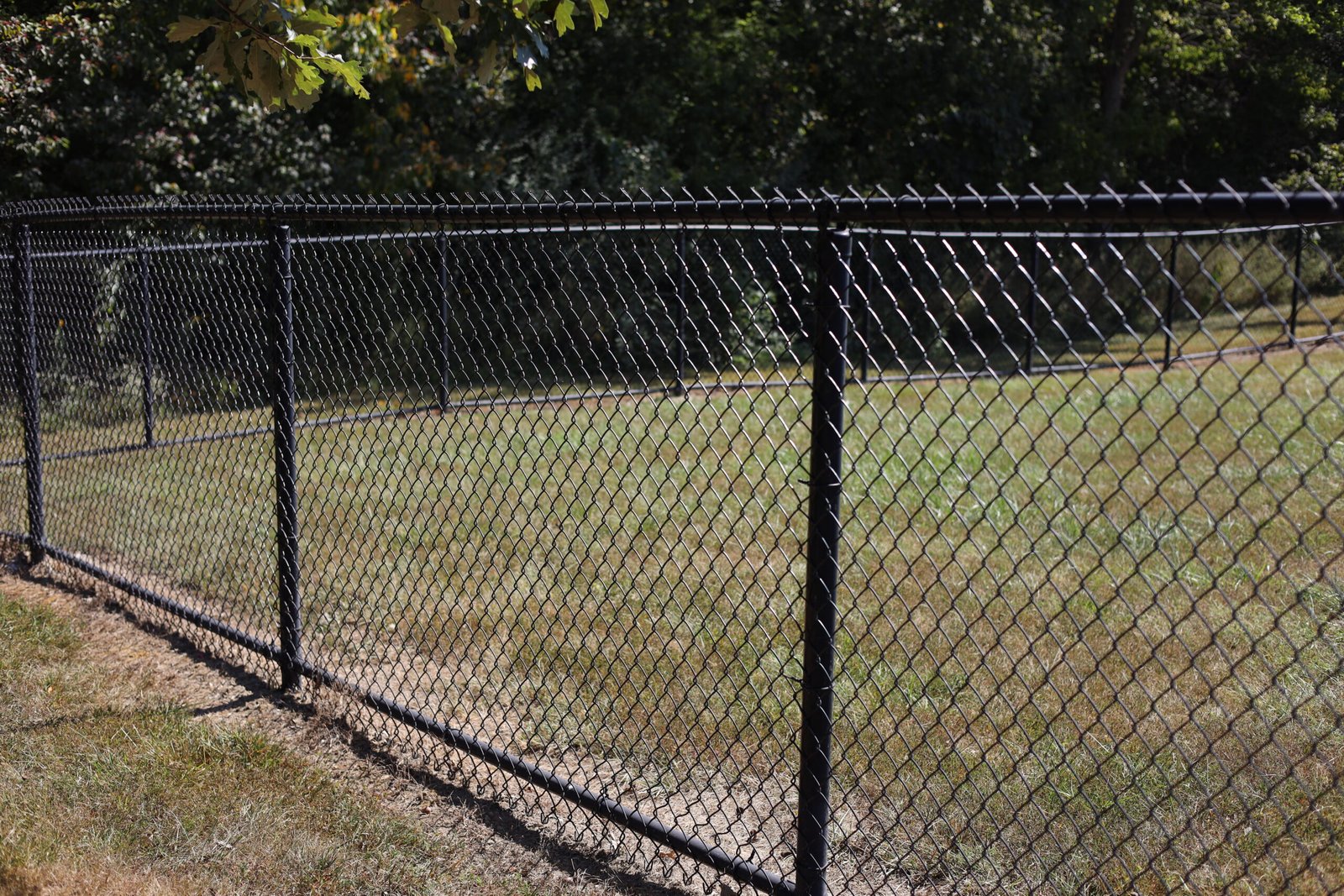 Black vinyl-coated chain link fence installed in a residential backyard